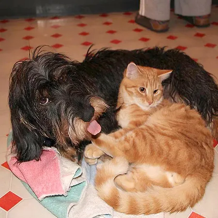 Laserer Апартаменты *